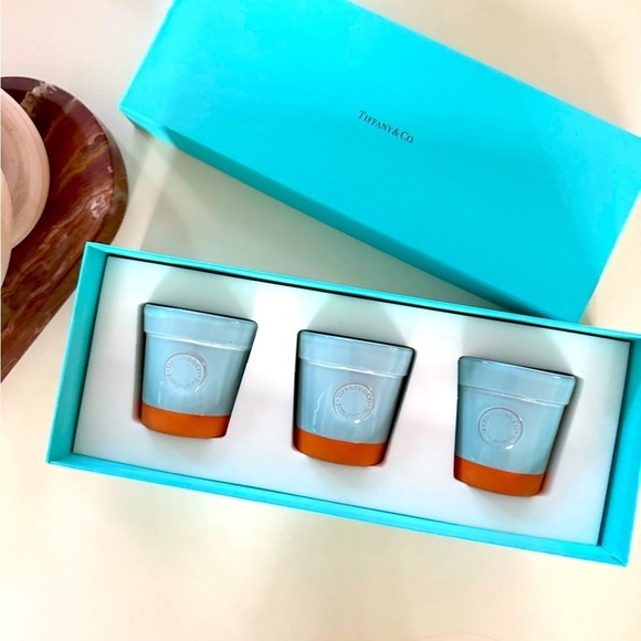 Tiffany & Co. Set of 3 Small Flower Pot Planters in Tiffany Blue and Terracotta - Picture 1 of 4